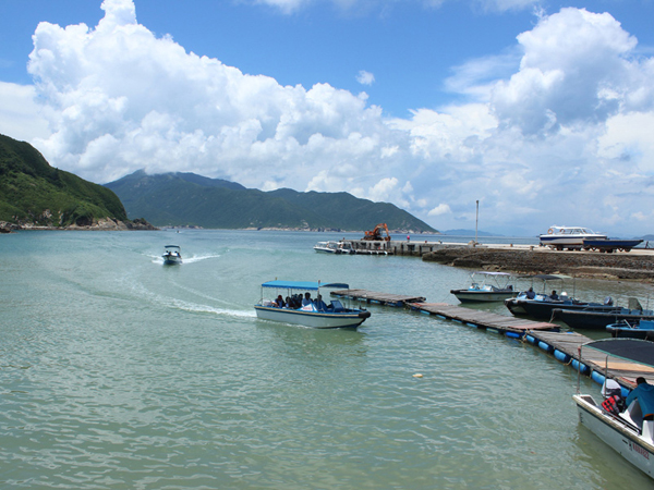 群英薈萃三門(mén)島，文韜武略決霸主